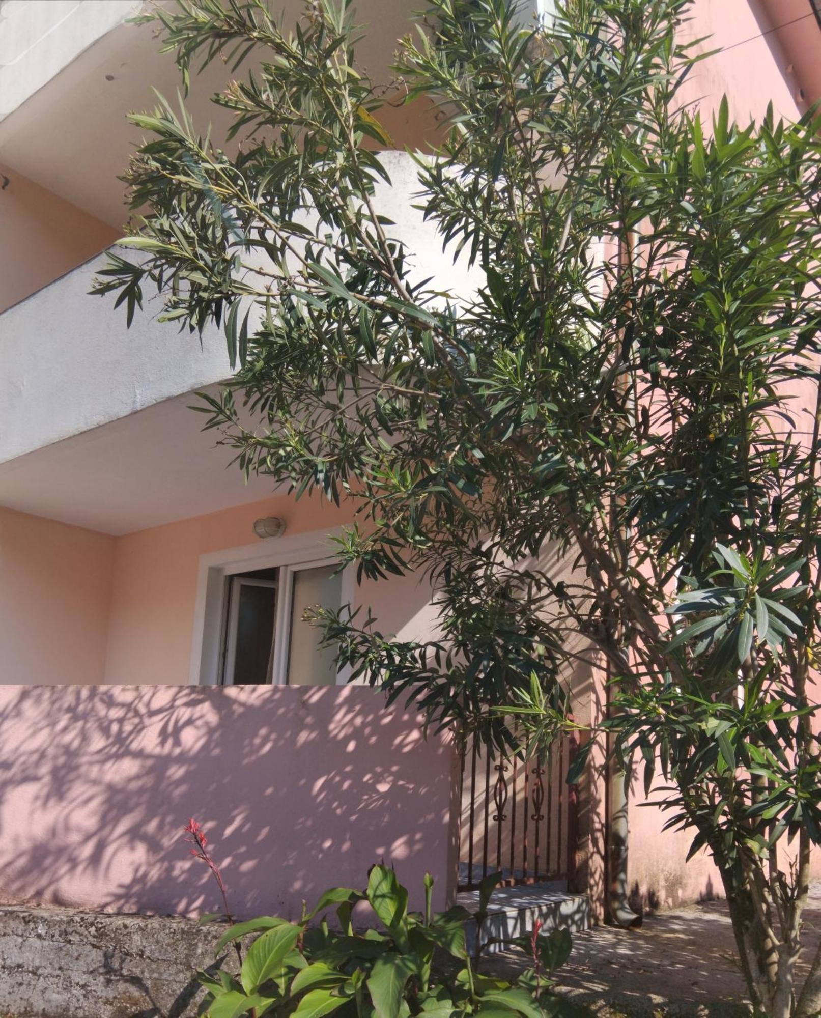 Bayview Apartment Donji Morinj